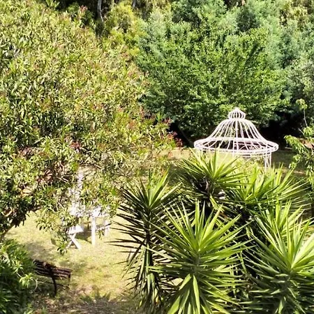 Villa Rosa De Mar *
